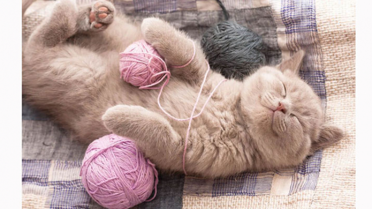 Zahl des Monats 99 %