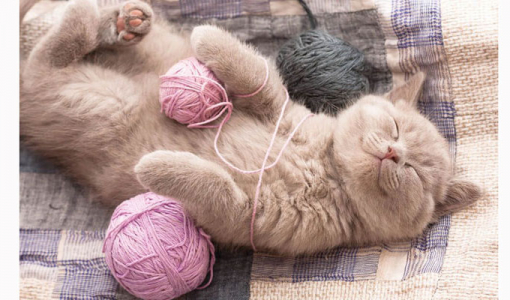 Zahl des Monats 99 %