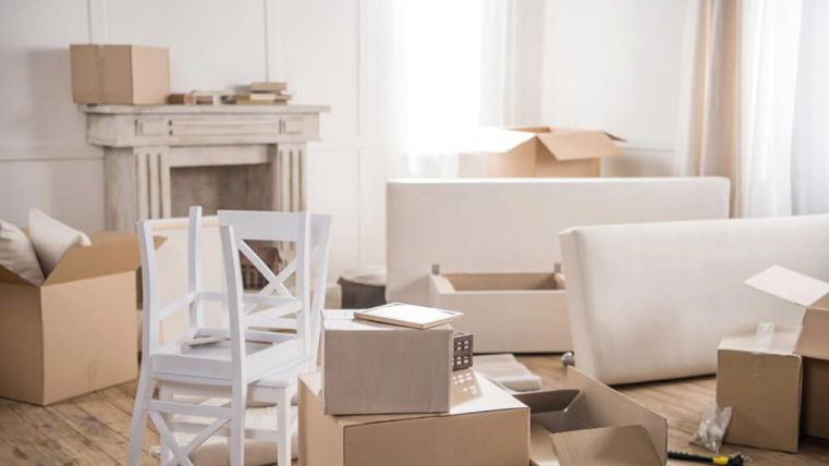 Zahl des Monats 55 Prozent