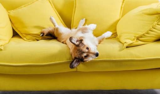 Zahl des Monats		49,7 Prozent