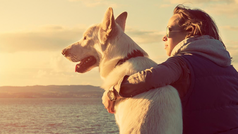 Der verlässliche Partner an Ihrer Seite