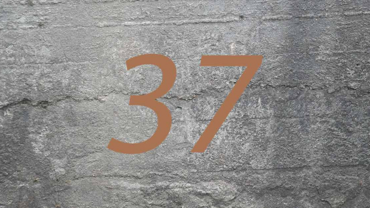 Zahl des Monats: 37