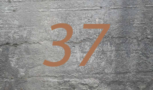 Zahl des Monats: 37
