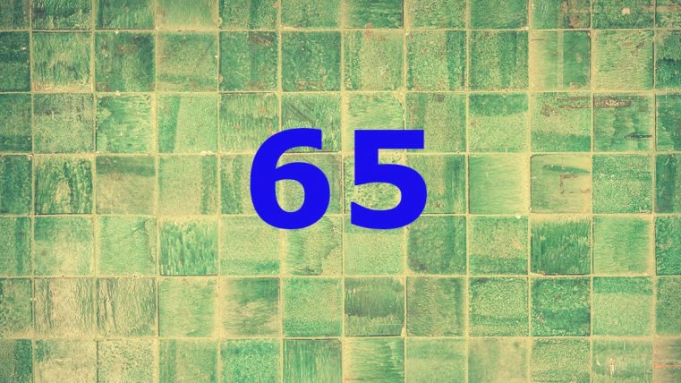 Zahl des Monats Mai: 65 Prozent