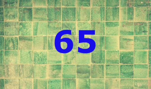 Zahl des Monats Mai: 65 Prozent